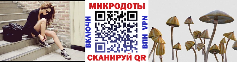 сайты даркнета телеграм  Киселёвск  Псилоцибиновые грибы Psilocybine cubensis 